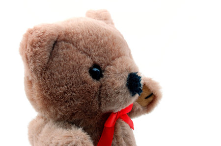 toy teddy bear isolated on white background