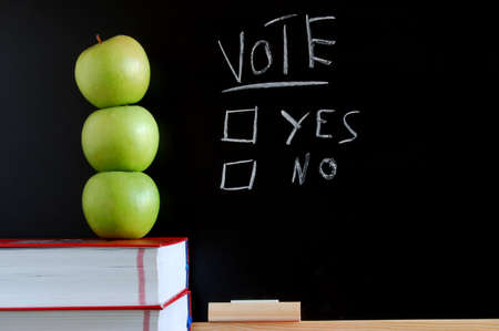 blackboard where you can vote yes or noの写真素材