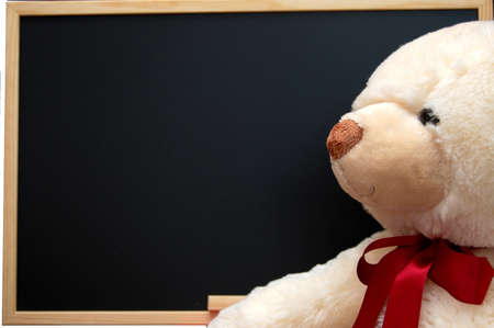 isolated teddy with empty blackboard on white backgroundの写真素材