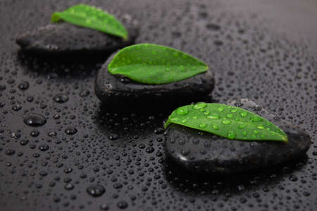 wellness massage or bath concept with zen stones leafes and water dropの写真素材