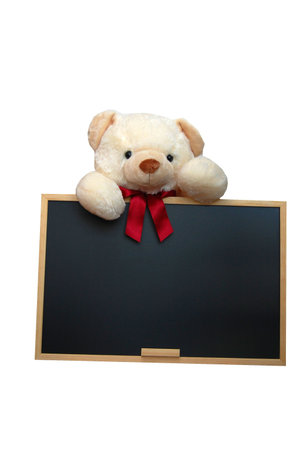 isolated teddy with empty blackboard on white backgroundの写真素材