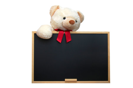 isolated teddy with empty blackboard on white backgroundの写真素材