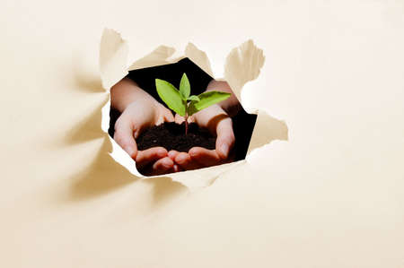 hole in paper and plant in hands showing concept of ecology and growthの写真素材