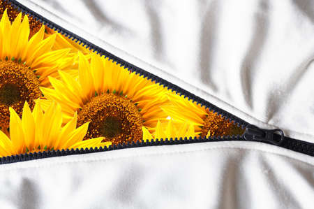 end of summer shown by flower behind zip                                    の写真素材