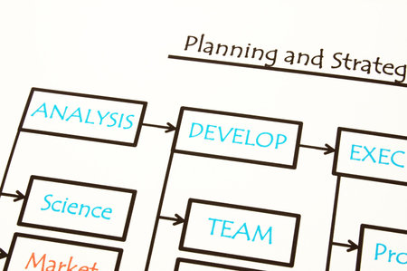 flowchart showing structrue of new business company                                    