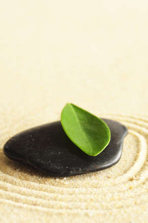 japanese zen garden showing wellness or spa conceptの写真素材