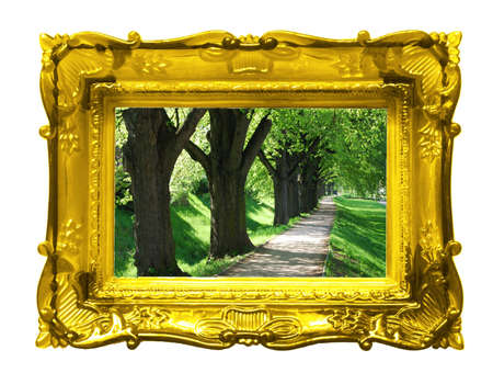 summer concept with image frame isolated on white backgroundの写真素材