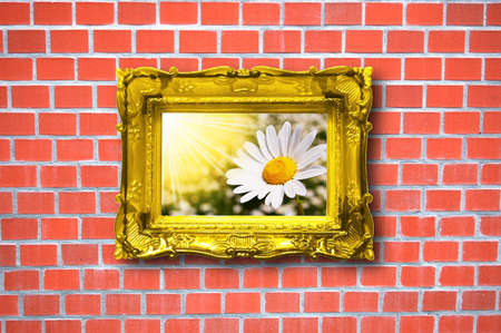 summertime concept with flowers an a wall の写真素材