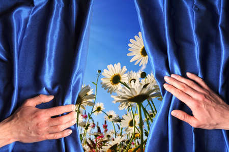 view to summer flowers behind a blue curtain showing happinessの写真素材