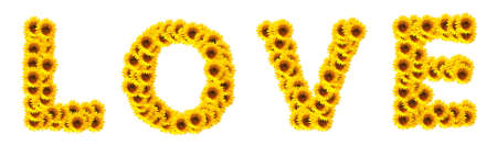 word love with sunflower flowers showing valentines day conceptの写真素材