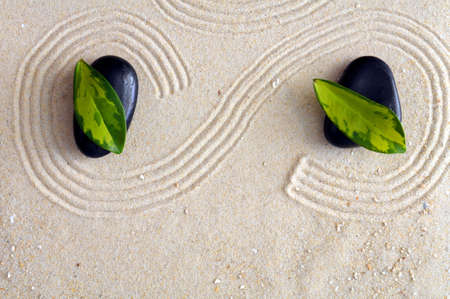 zen still life with sand and green leaf showing wellness conceptの写真素材