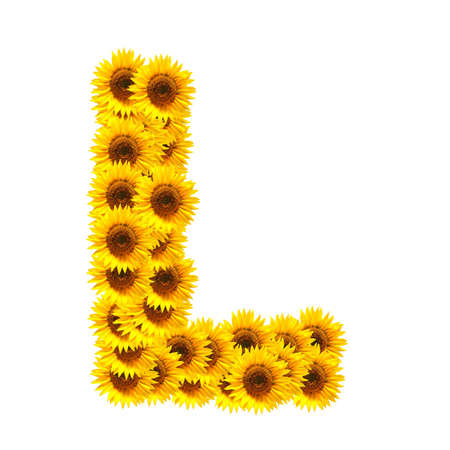 flower alphabet and numbers with sunflowers isolated on white backgroundの写真素材