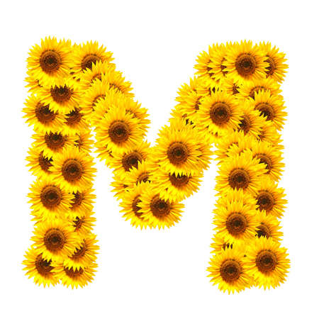 flower alphabet and numbers with sunflowers isolated on white backgroundの写真素材