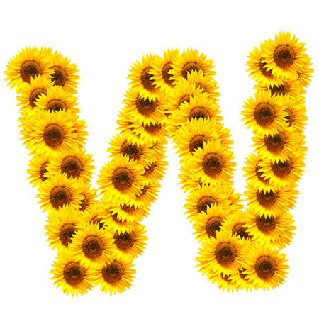 flower alphabet and numbers with sunflowers isolated on white backgroundの写真素材