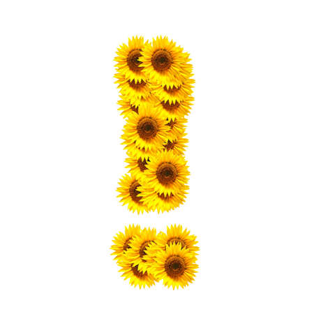flower alphabet and numbers with sunflowers isolated on white backgroundの写真素材