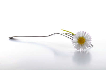 food concept with flower and fork on white table in summerの写真素材