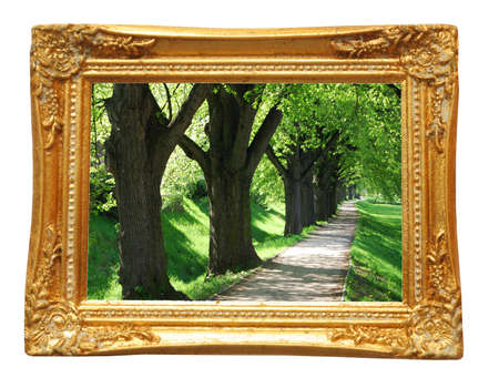 summer concept with image frame isolated on white backgroundの写真素材