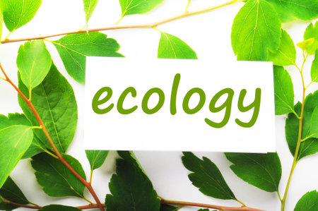 ecology concept with word on nature still life