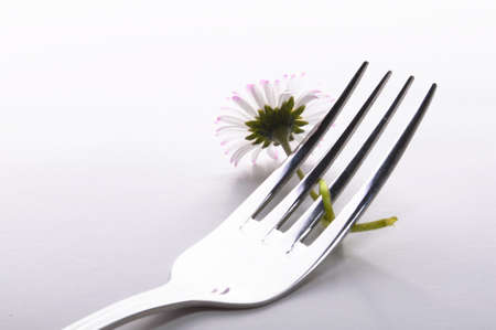 flower and fork isolated on a white background with copyspace showing food conceptの写真素材