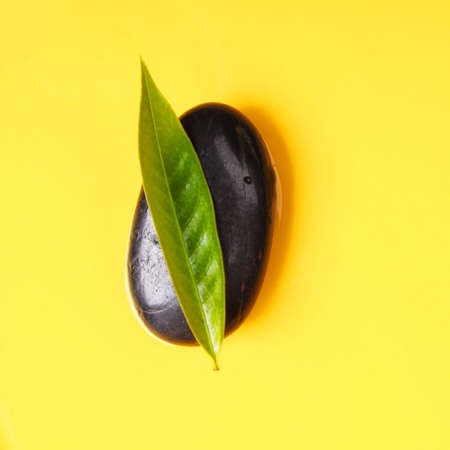 zen stone leaf and yellow copyspace showing spa conceptの写真素材