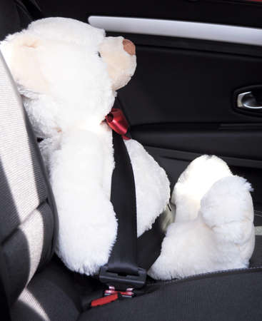 fasten your seat belt concept with teddy bear showing car safetyの写真素材