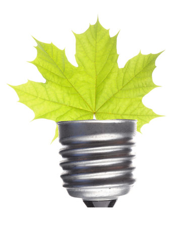 green leaf and bulb isolated on white showing ecological power conceptの写真素材