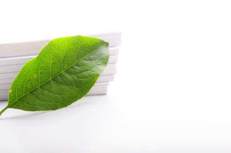 blank paper card with copyspace and green nature の写真素材