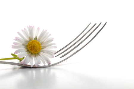 flower and fork isolated on a white background with copyspace showing food concept