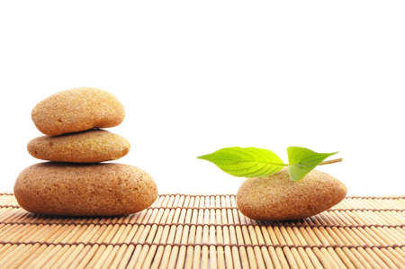 spa still life with zen stone and green leafの写真素材