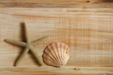 star fish and wood copyspace showing holiday or vacation conceptの写真素材