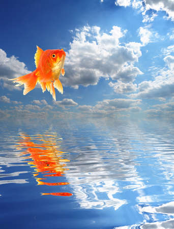 jumping goldfish and ocean with sky and water reflectionの写真素材
