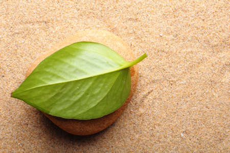 zen garden or spa still life with stone pebble and sandの写真素材