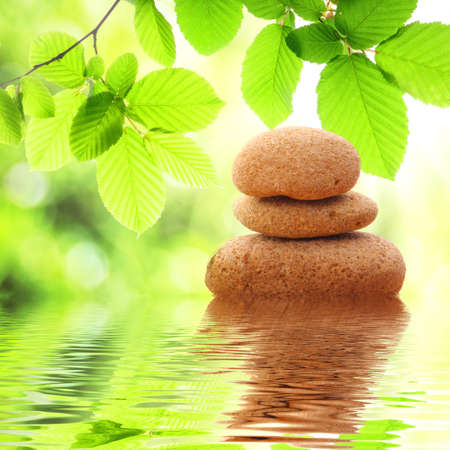 zen stones and green summer leaves with water reflectionの写真素材