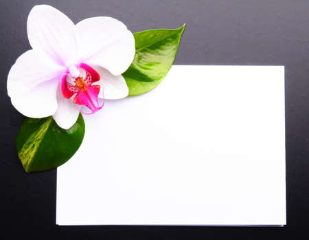 zen or spa stones with blank and empty copyspace paperの写真素材