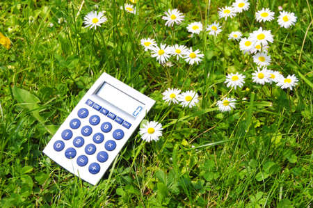 ecological accounting concept with calculator in green grassの写真素材