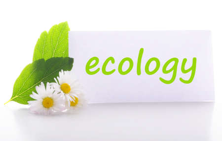 ecology concept with word on nature still lifeの写真素材