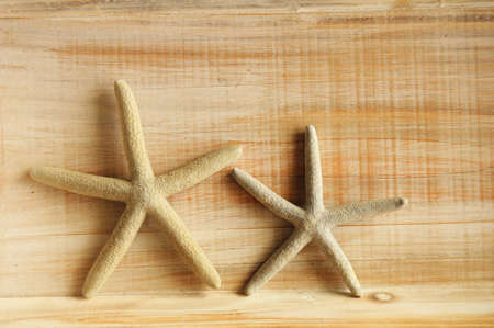 vacation concept with star fish or shellfish and copyspace on wood textureの写真素材
