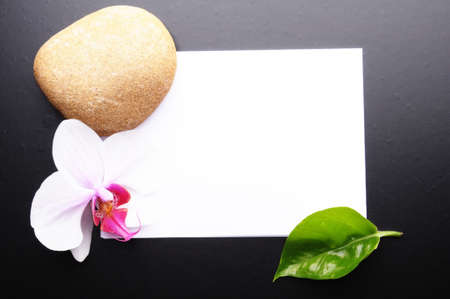 spa or wellness concept with blank and empty sheet paper on whiteの写真素材