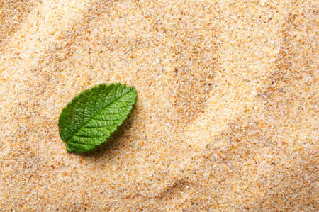 zen stone with leaf on sand showing spa conceptの写真素材