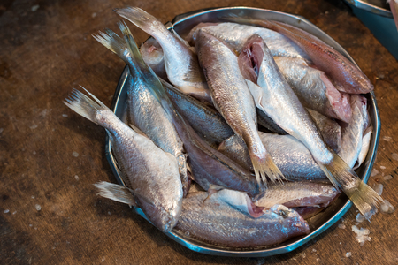 Body of raw fishes prepared for sell on fish market. Raw Fishes In Tray prepare for sell in fish food market. Customer buy to cook at home. Asian Food, Fish market in Asiaの写真素材