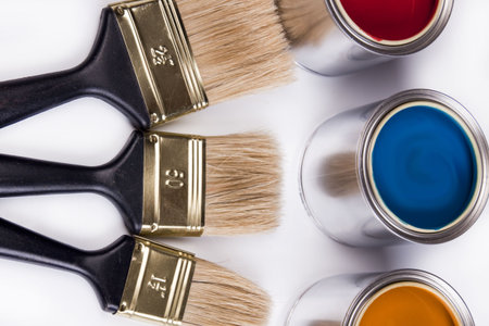 Composition of paint