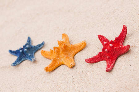 Beach compositions. Shells on sandの写真素材