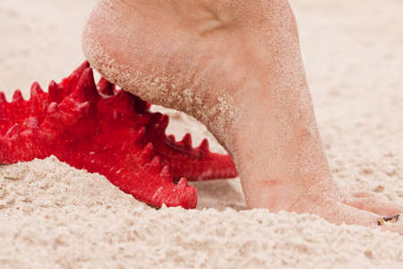 Beach compositions. Shells on sandの写真素材