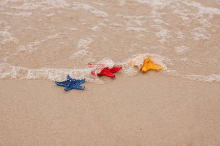 Shells on the beachの写真素材