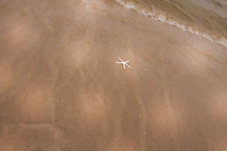 Shells on the beachの写真素材