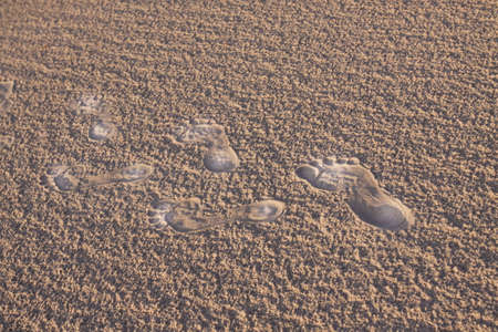 Desert compositions. Desert dunesの写真素材