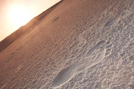 Desert compositions. Desert dunesの写真素材