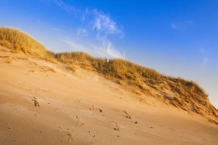 Desert compositions. Desert dunesの写真素材