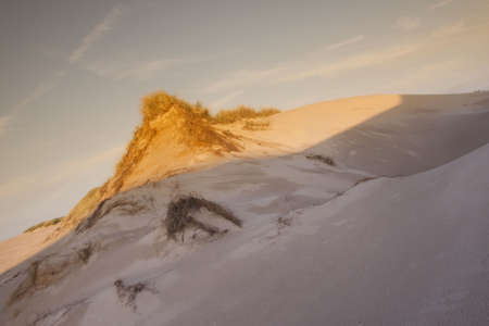 Desert compositions. Desert dunesの写真素材