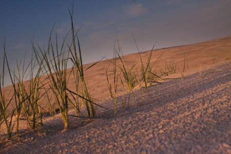Desert compositions. Desert dunesの写真素材